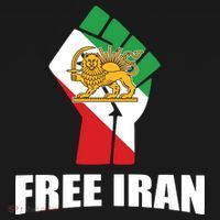 Free Iran Women Life Freedom Mahsa Amini Protest Women's Hoodie thumb 2