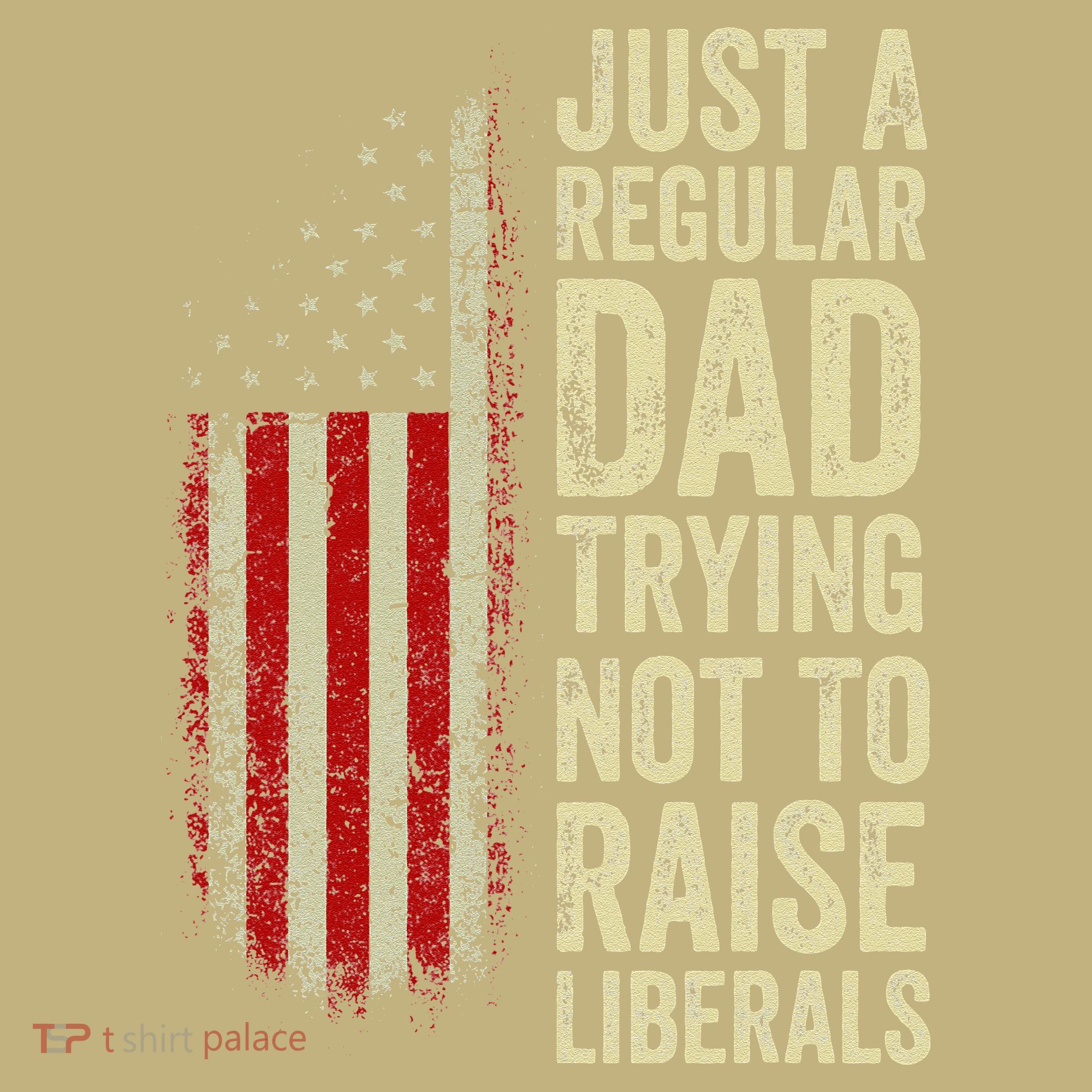 Funny Just A Regular Dad Trying Not To Raise Liberals Fathers Day Hoodie