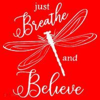 Funny Just Breathe And Believe Dragonfly Print Cool Gift Santa Hat thumb 1