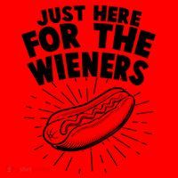 Funny Just Here For The Wieners Hotdog Lover Bbq Santa Hat thumb 1