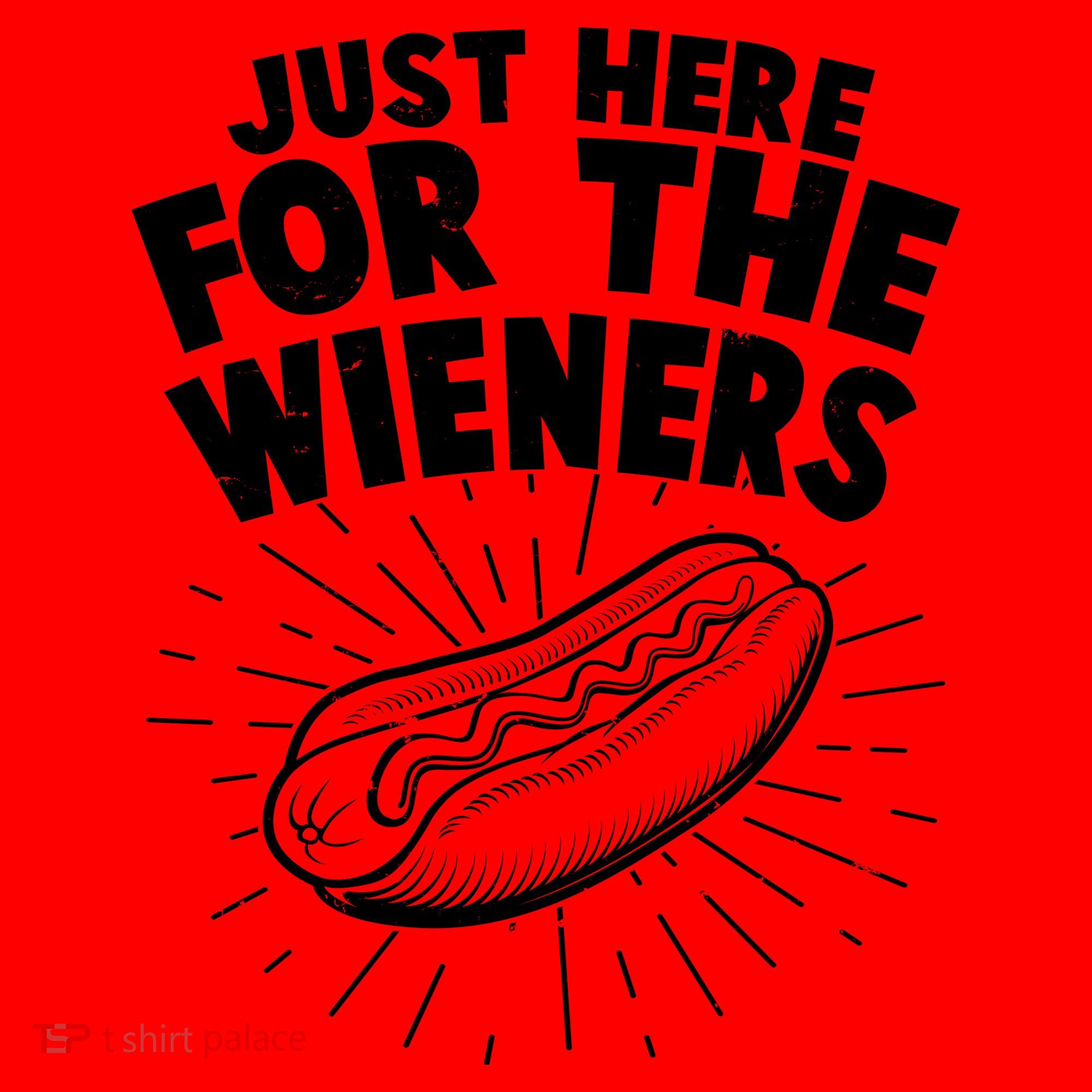 Funny Just Here For The Wieners Hotdog Lover Bbq Santa Hat