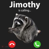 Funny Jimothy Is Calling Raccoon Viral Meme Beanie thumb 2