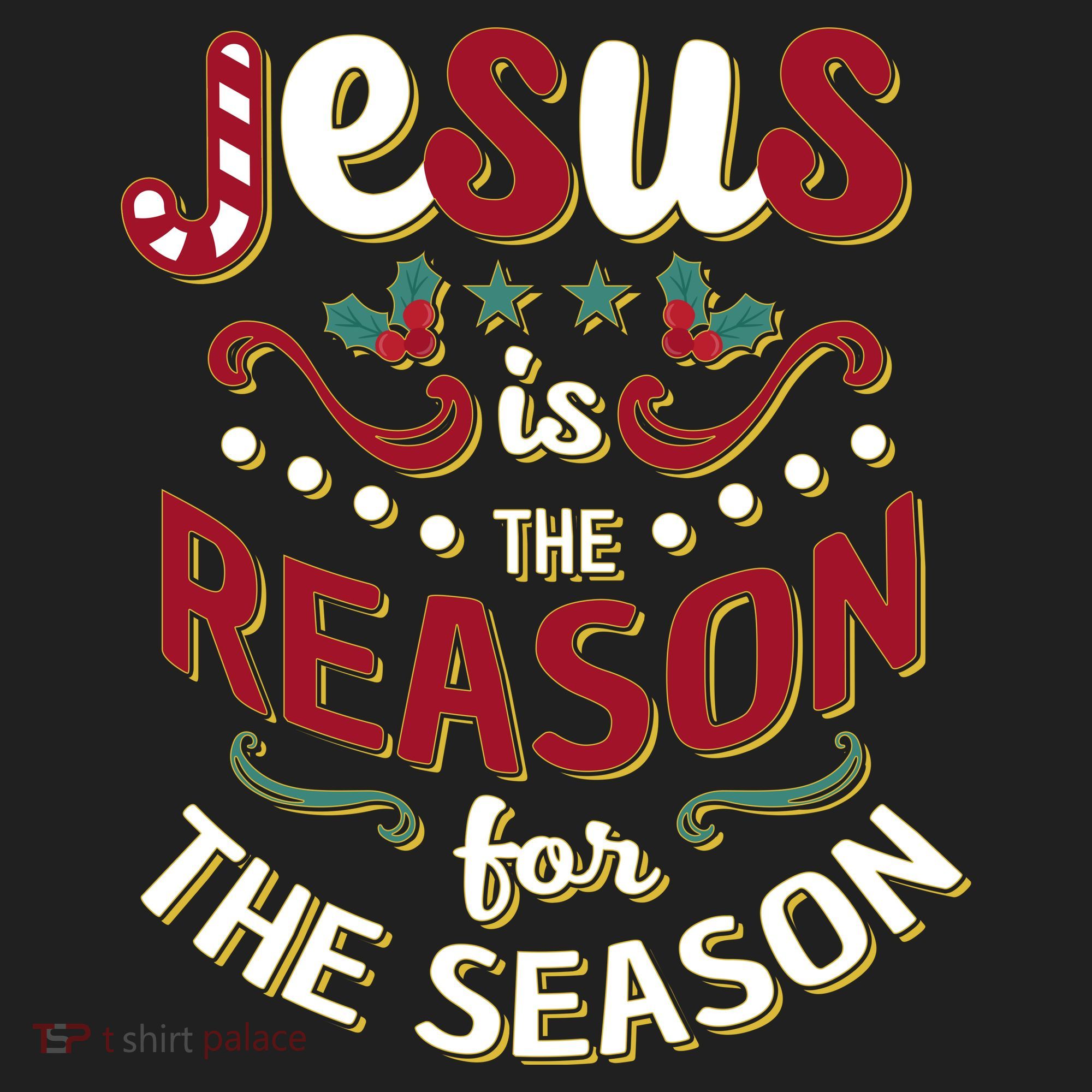 Festive Jesus Is The Reason For The Season Tumbler