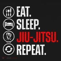 Funny Jiu Jitsu Brazilian Jiu Jitsu Bjj Women's Hoodie thumb 2