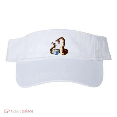 Visor