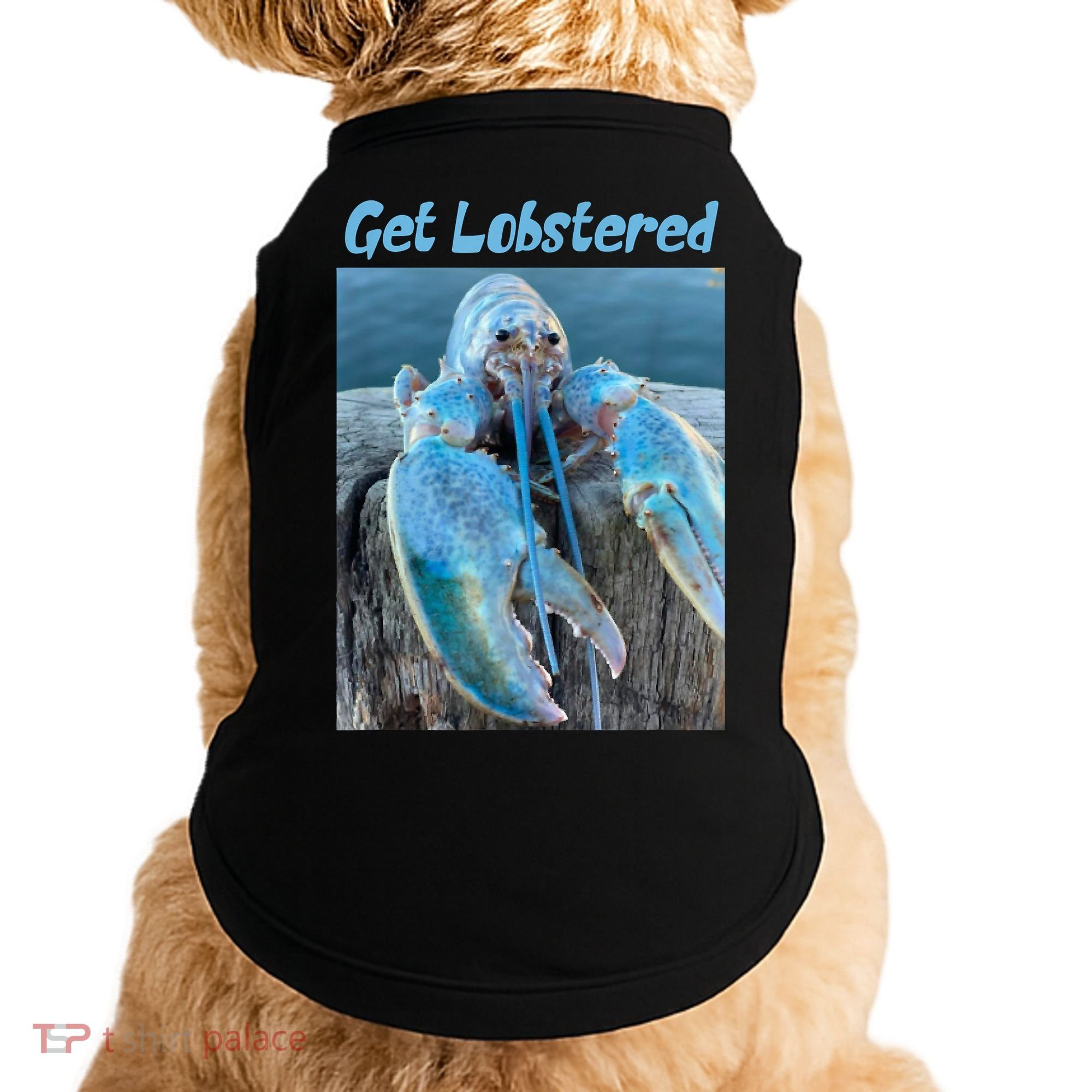 Funny Jumpscare Lobster Meme Blue Crustacean Doggie Tank