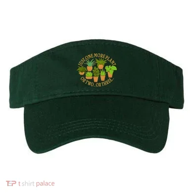 Visor