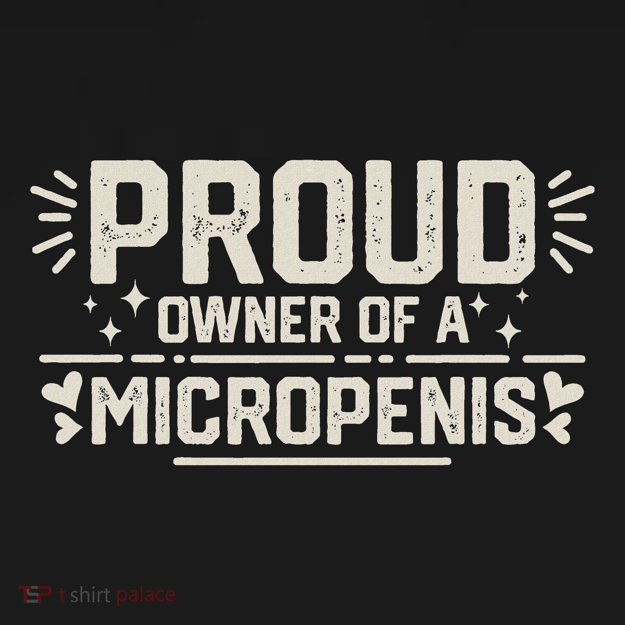 Funny Joke Rude Proud Owner Of A Micropenis Bachelor Party Women's Hoodie