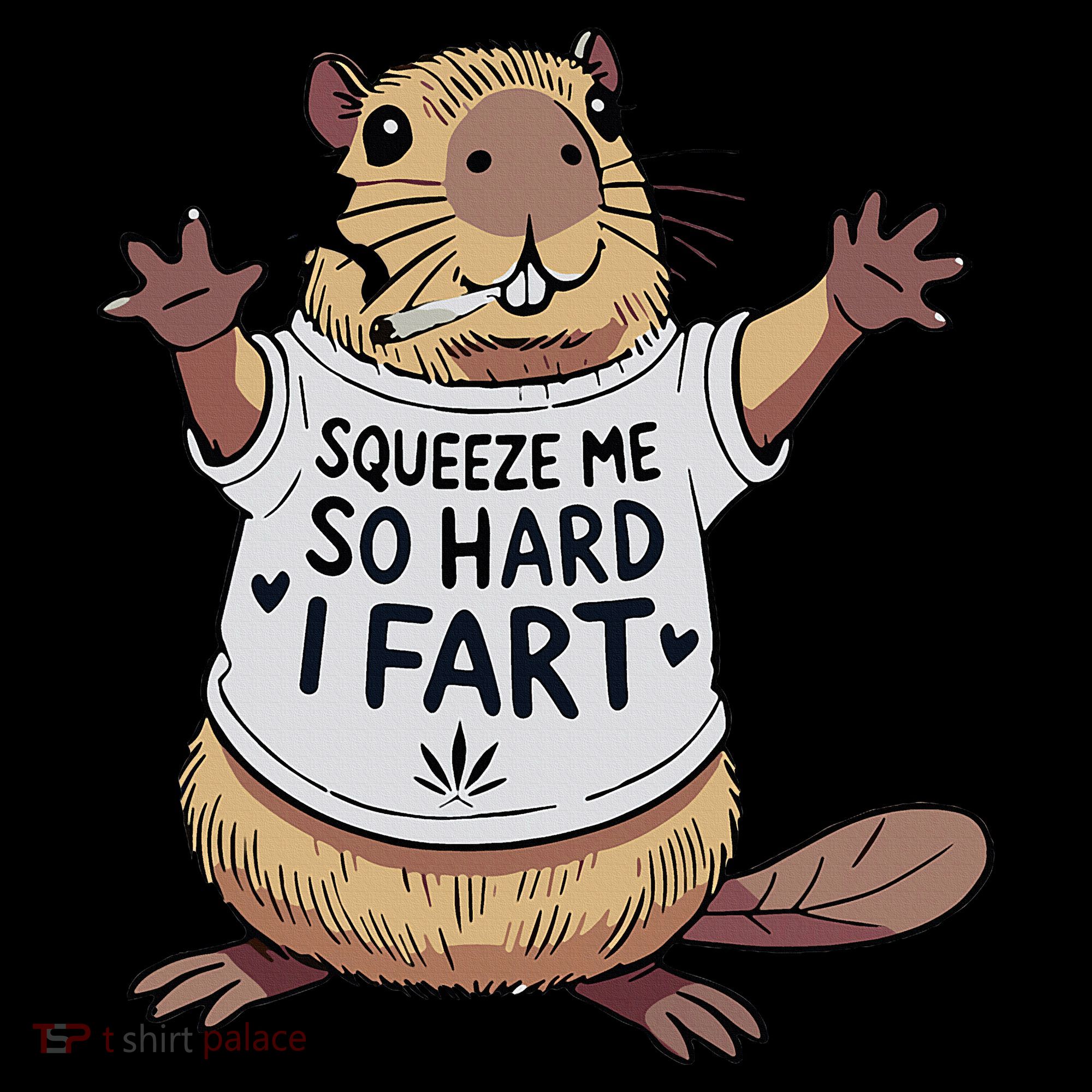 Funny Joke Squeeze Me So Hard I Fart Hoodie