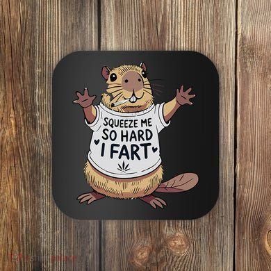 Funny Joke Squeeze Me So Hard I Fart Coaster