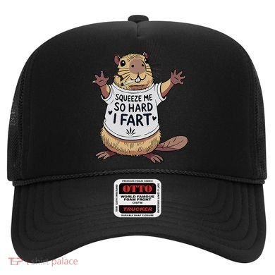 Funny Joke Squeeze Me So Hard I Fart Hat