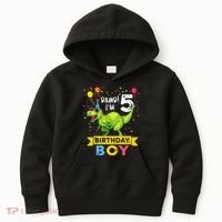 Funny Kids 5 Year Old Gift 5th Birthday Boy T Rex Dinosaur Gift Kids Hoodie thumb 0