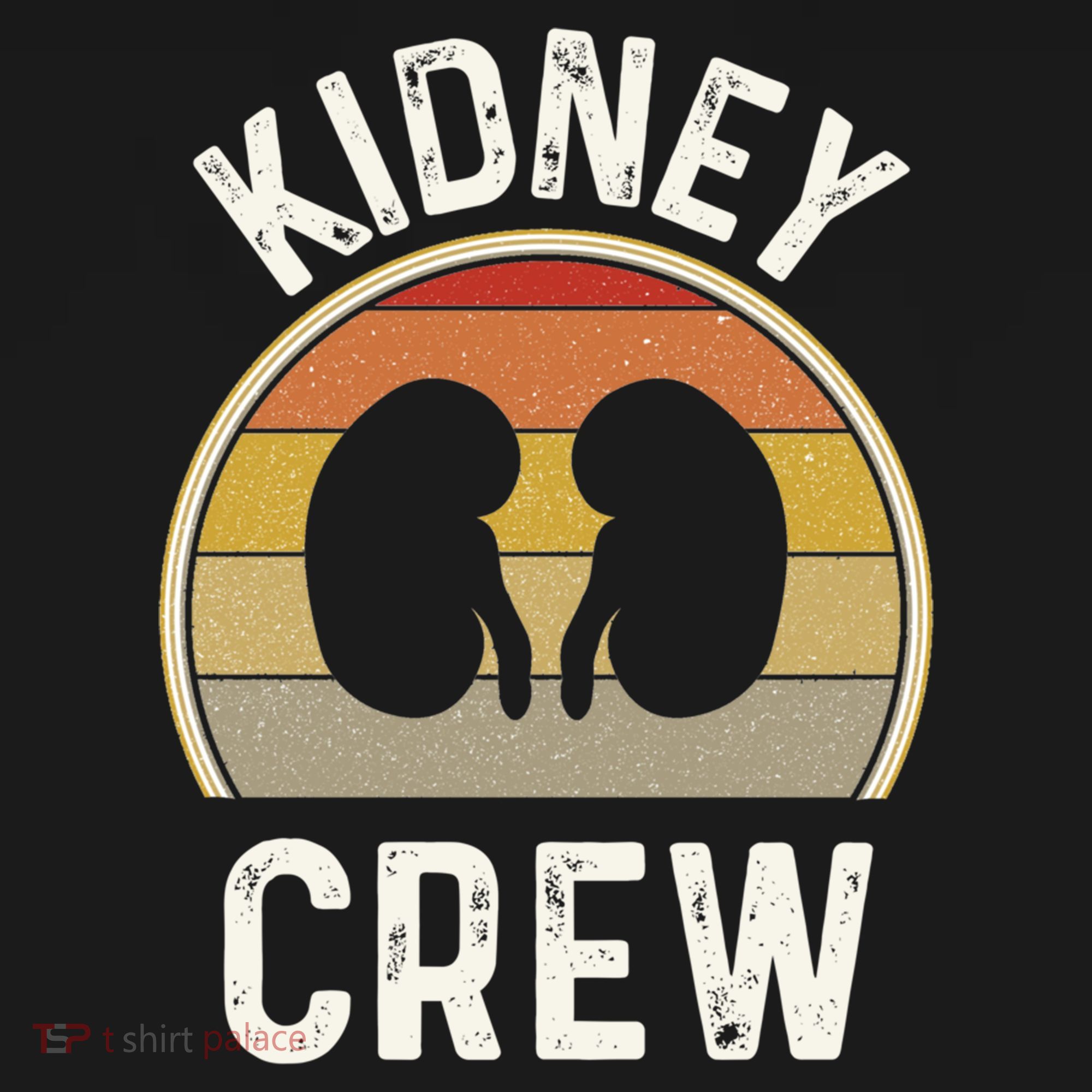 Funny Kidney Stuff Nephrology Nurse Team Renal Dialysis Tech Funny Gift Women's Hoodie