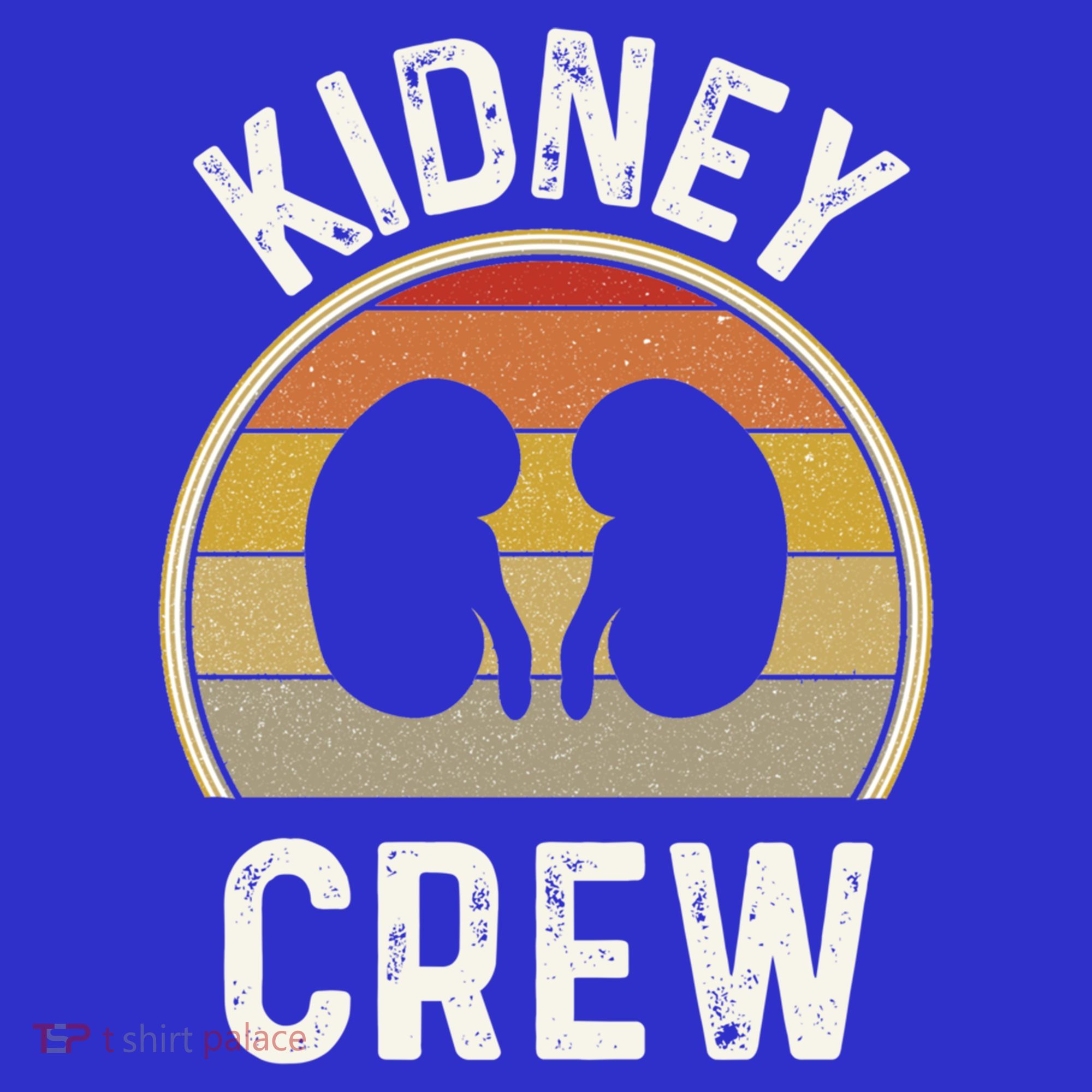 Funny Kidney Stuff Nephrology Nurse Team Renal Dialysis Tech Funny Gift T-Shirt