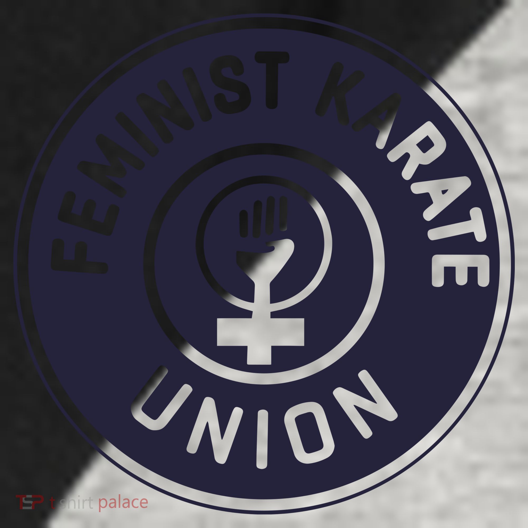 Feminist Karate Union Raglan Baseball Sleeve Shirt