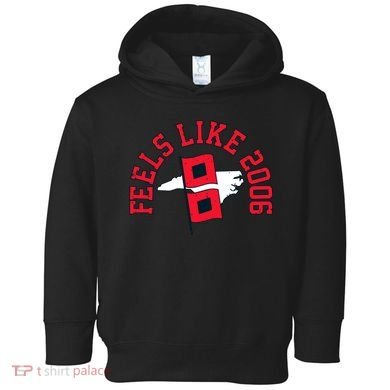 Feels Like 2006 Carolina Hockey Toddler Hoodie