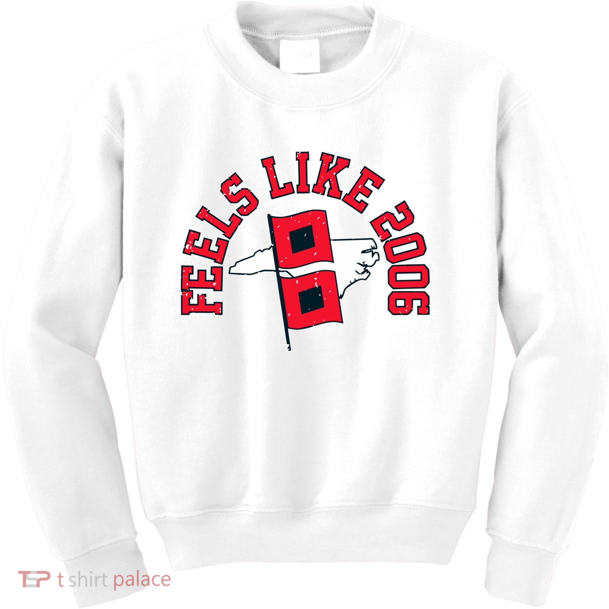 Feels Like 2006 Carolina Hockey Kids Sweatshirt