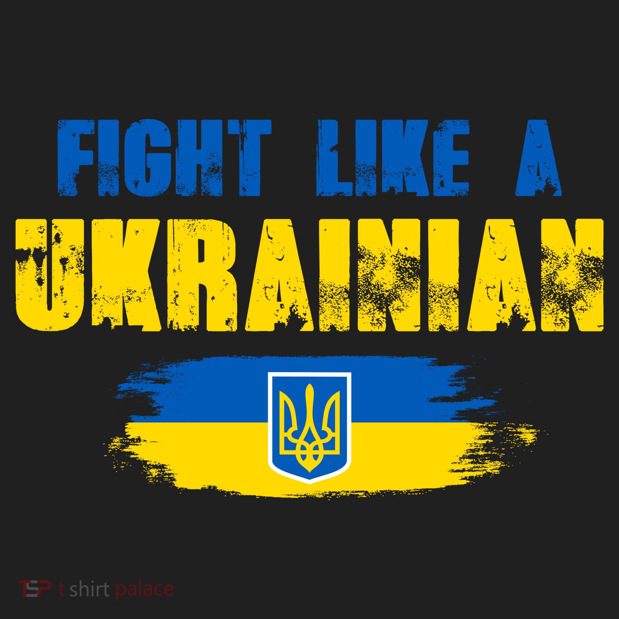 Fight Like A Ukrainian I Stand With Ukraine Support Trident Flag Beanie