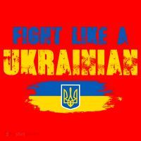Fight Like A Ukrainian I Stand With Ukraine Support Trident Flag Santa Hat thumb 1