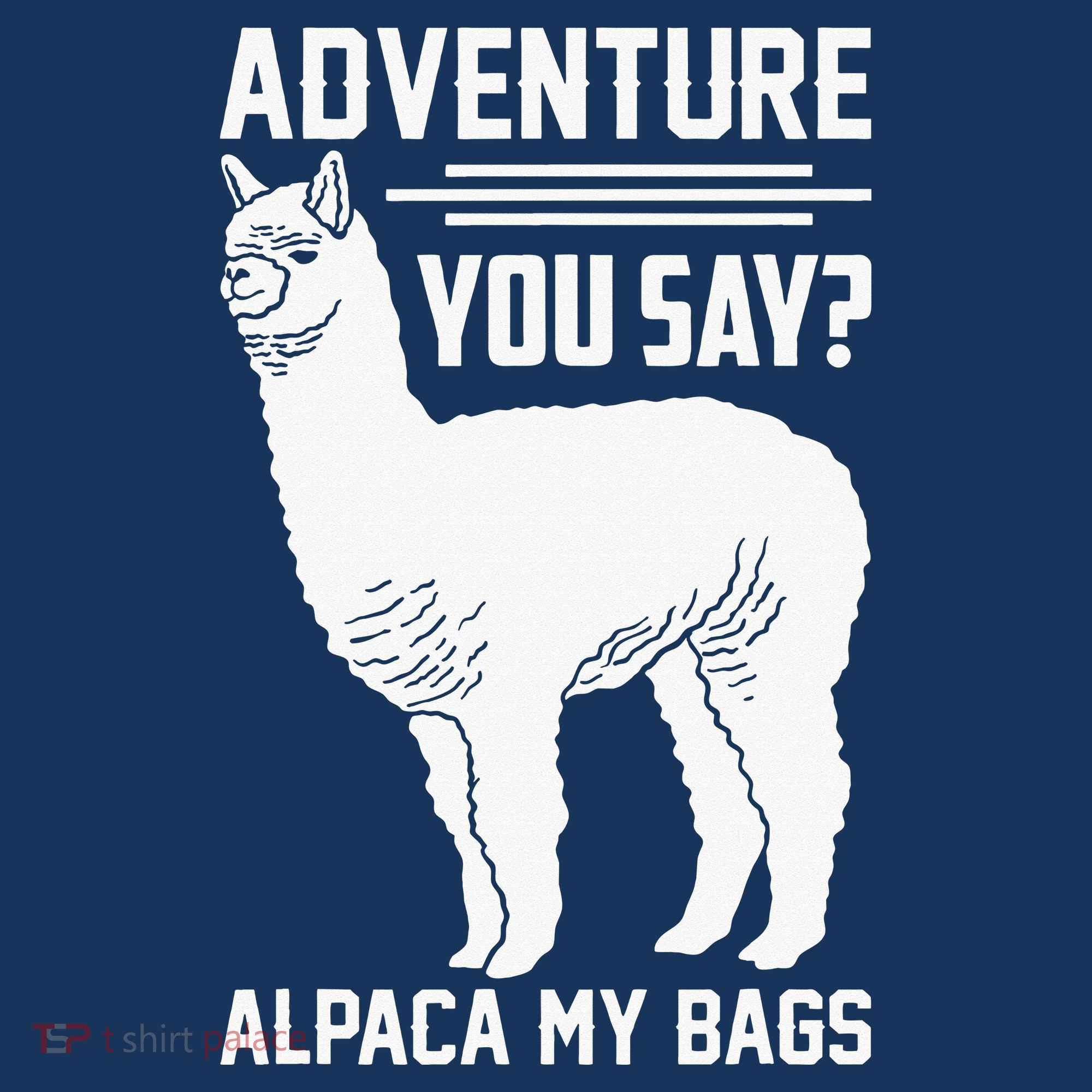 Funny Llama Adventure Alpaca My Bags Travel Kids Long Sleeve Plaid Pajama Set