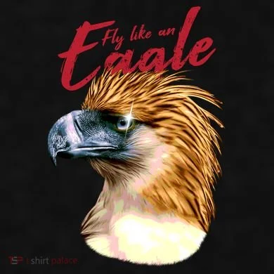 Fly Like An Eagle Ladies PosiCharge Tri-Blend Wicking Tank