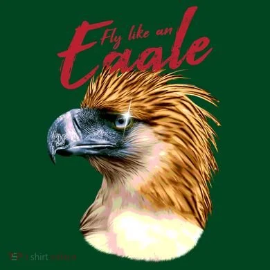 Fly Like An Eagle Premium T-Shirt