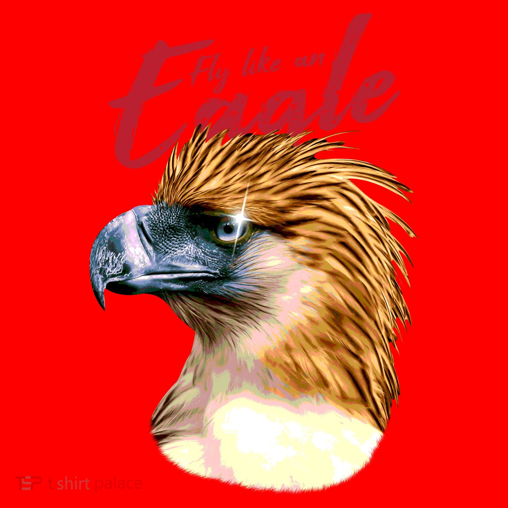 Fly Like An Eagle Santa Hat
