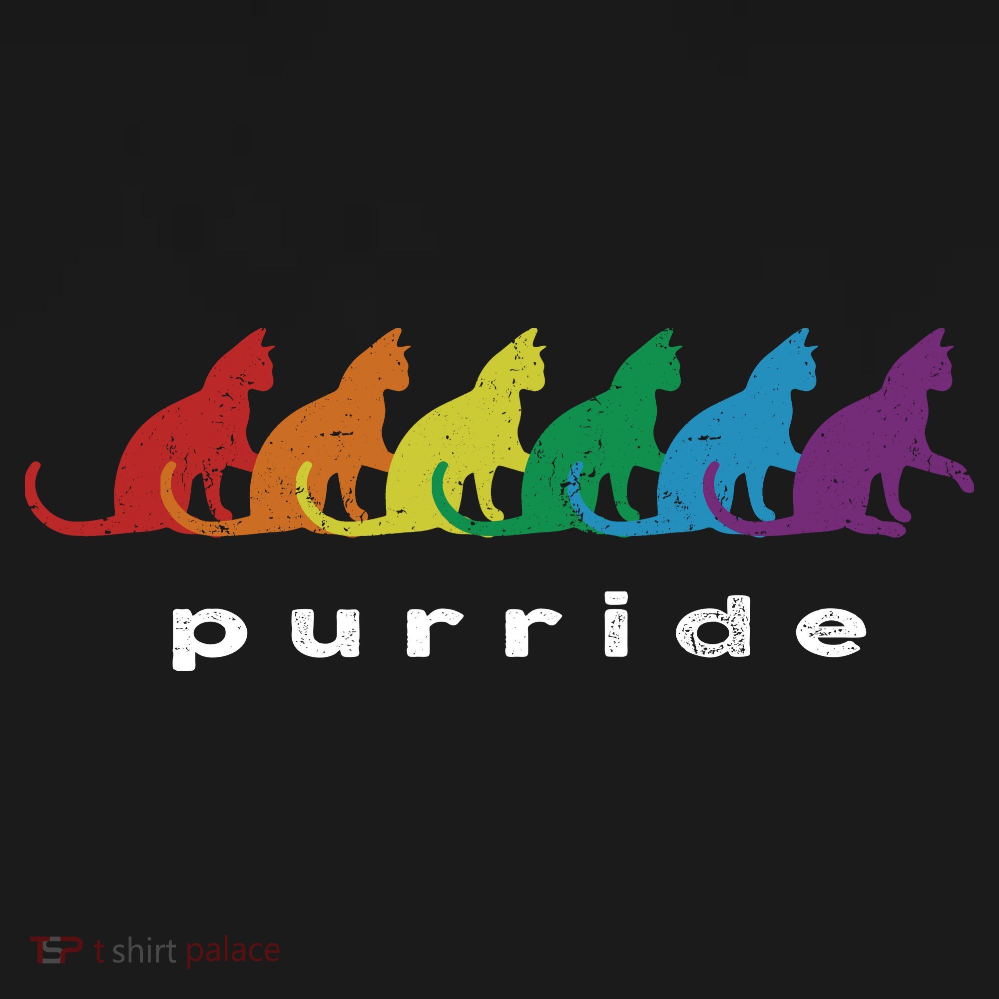 Funny LGBT Cat Rainbow Purride Picture Art Backpack