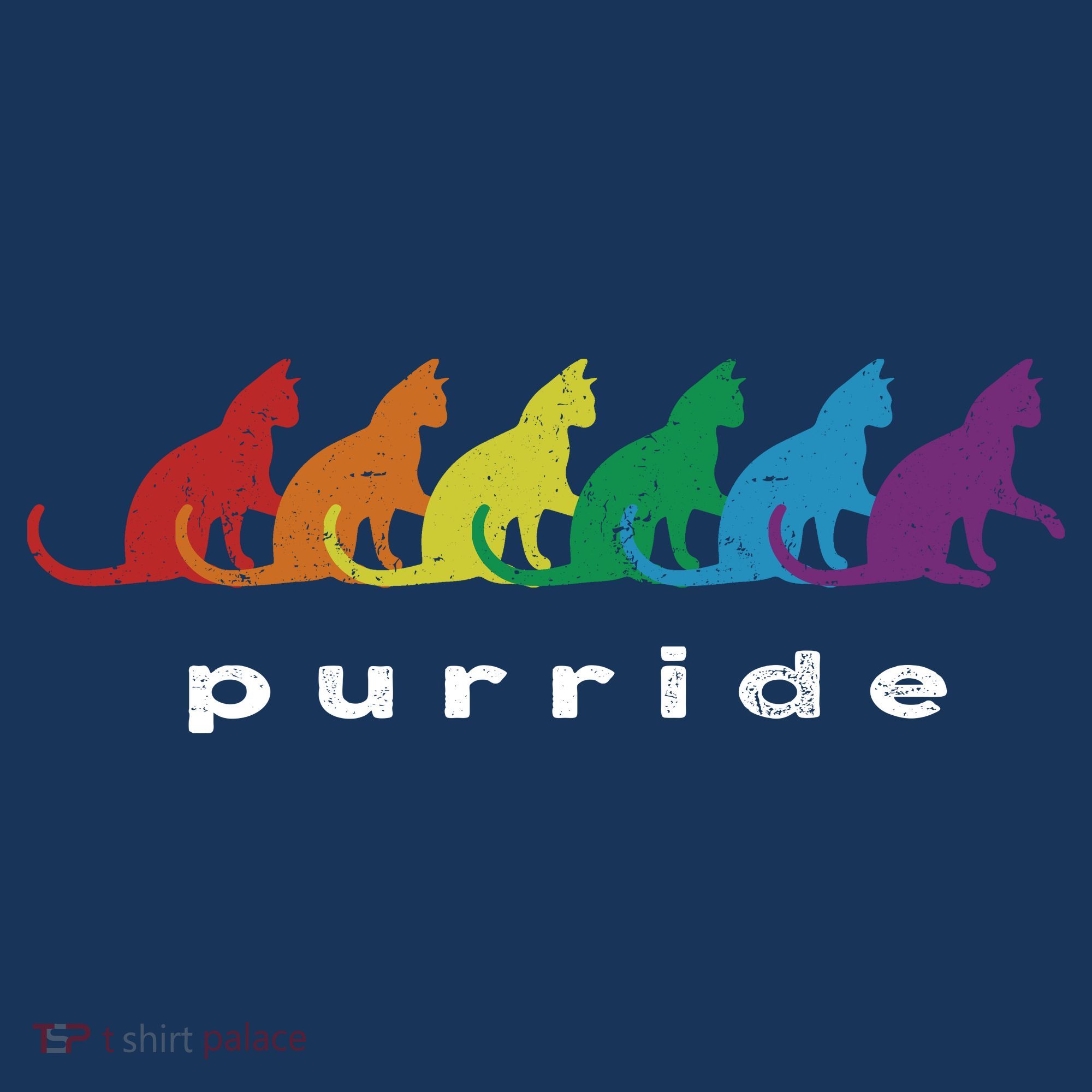 Funny LGBT Cat Rainbow Purride Picture Art Women's Hoodie