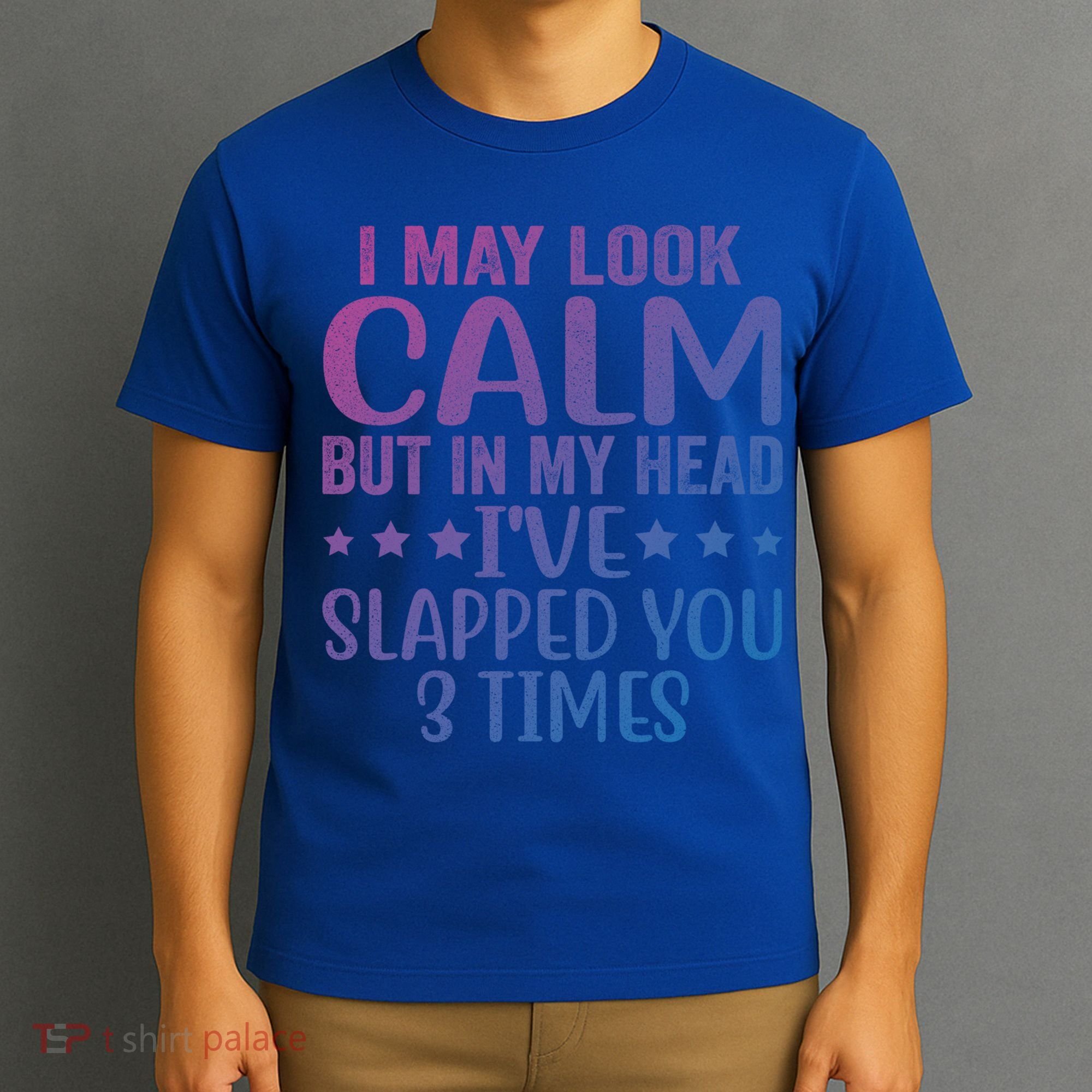 Funny Look Calm But In My Head Ive Slapped You 3 Times Cute Gift T-Shirt