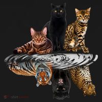 Funny Little Cats Big Cats Ornament thumb 1