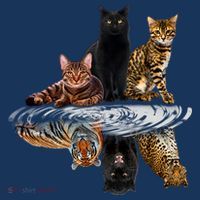 Funny Little Cats Big Cats Apron thumb 3