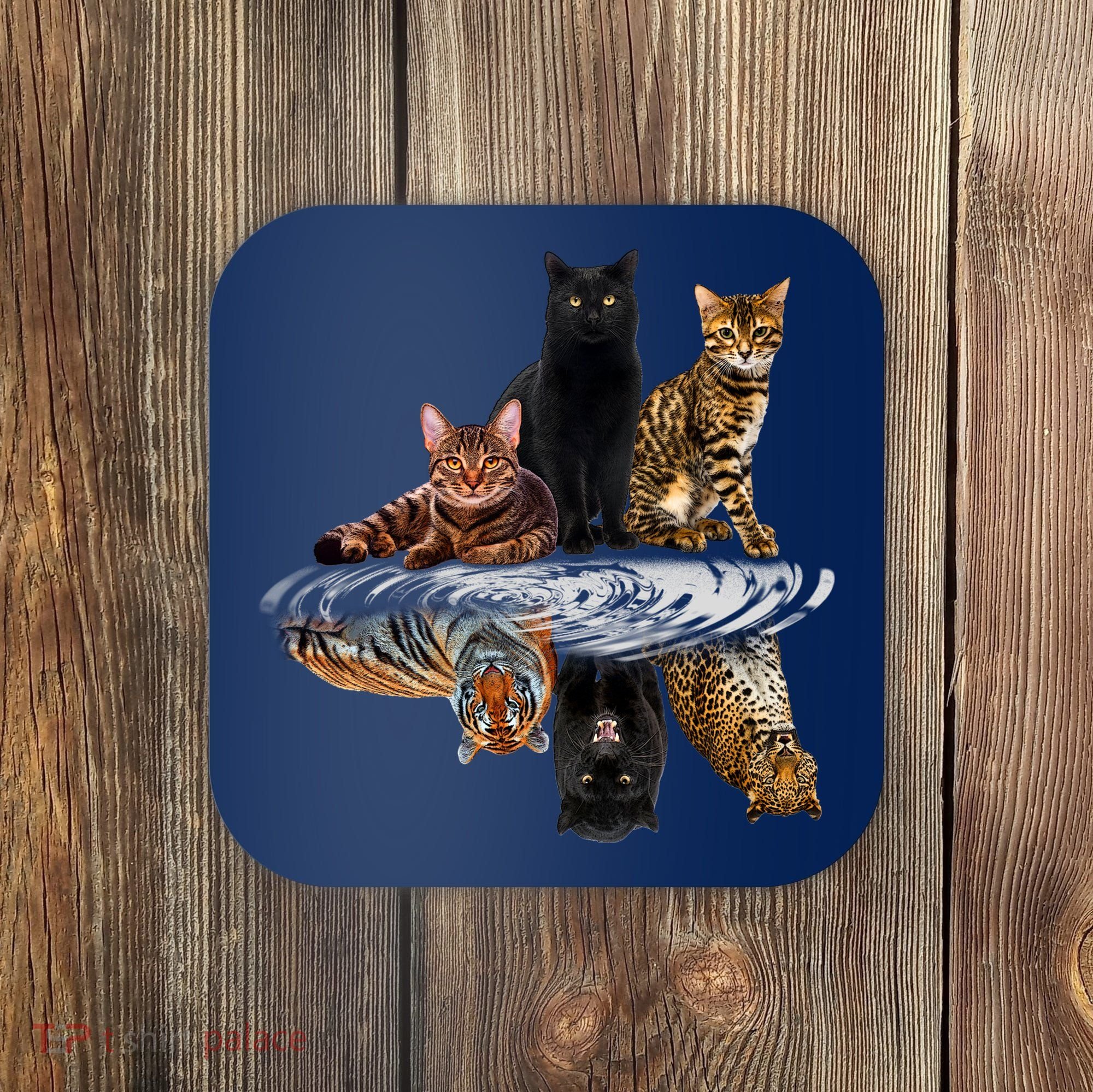 Funny Little Cats Big Cats Coaster