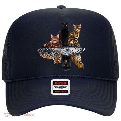 Funny Little Cats Big Cats Hat