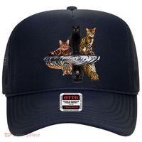 Funny Little Cats Big Cats Hat thumb 0