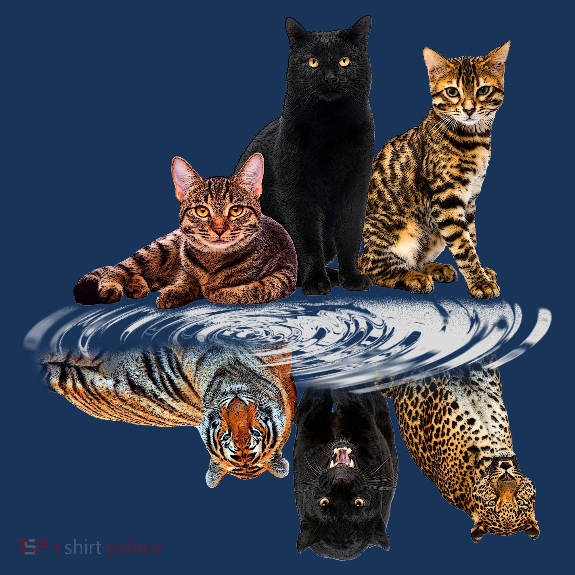Funny Little Cats Big Cats Kids Sweatshirt