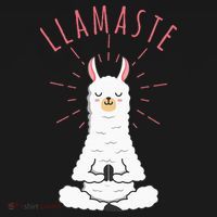 Funny Llama Do Yoga Llamaste Namaste Funny Yoga Meditation Hoodie thumb 2