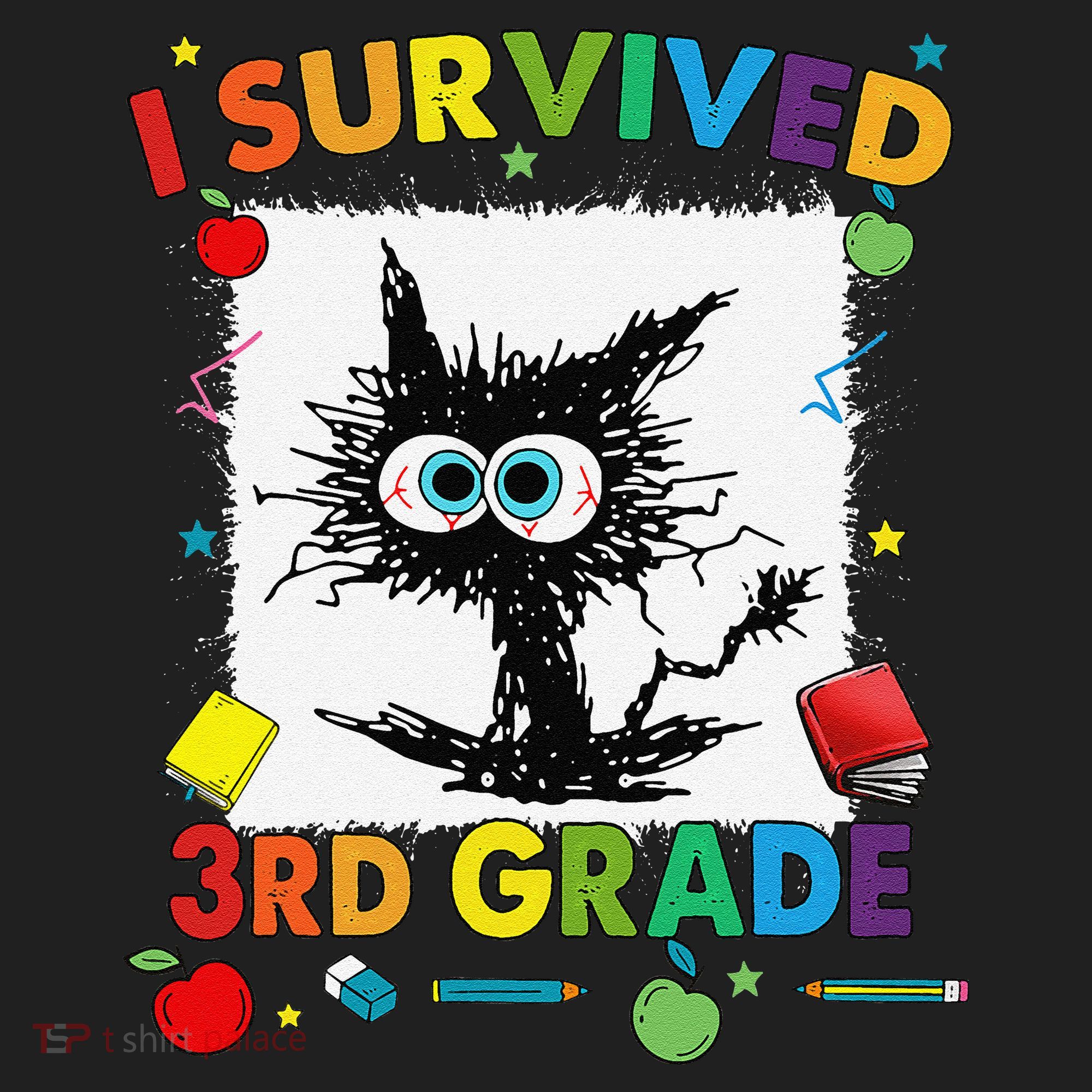 Funny Last Day Of Third 3rd Grade I Survived Third 3rd Grade Tumbler