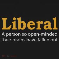 Funny Liberal Democratic Party Conservative Kids Hoodie thumb 5
