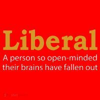 Funny Liberal Democratic Party Conservative Santa Hat thumb 1