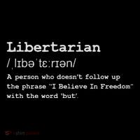 Funny Libertarian Definition Hoodie thumb 7