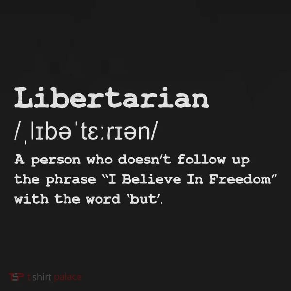 Funny Libertarian Definition Baby Bodysuit