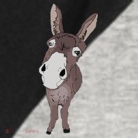 Funny Looking Donkey Gift Idea For Cute Donkeys Horses Raglan Baseball Sleeve Shirt thumb 2