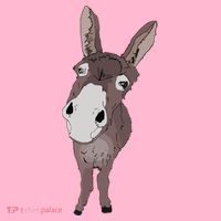 Funny Looking Donkey Gift Idea For Cute Donkeys Horses Coaster thumb 2