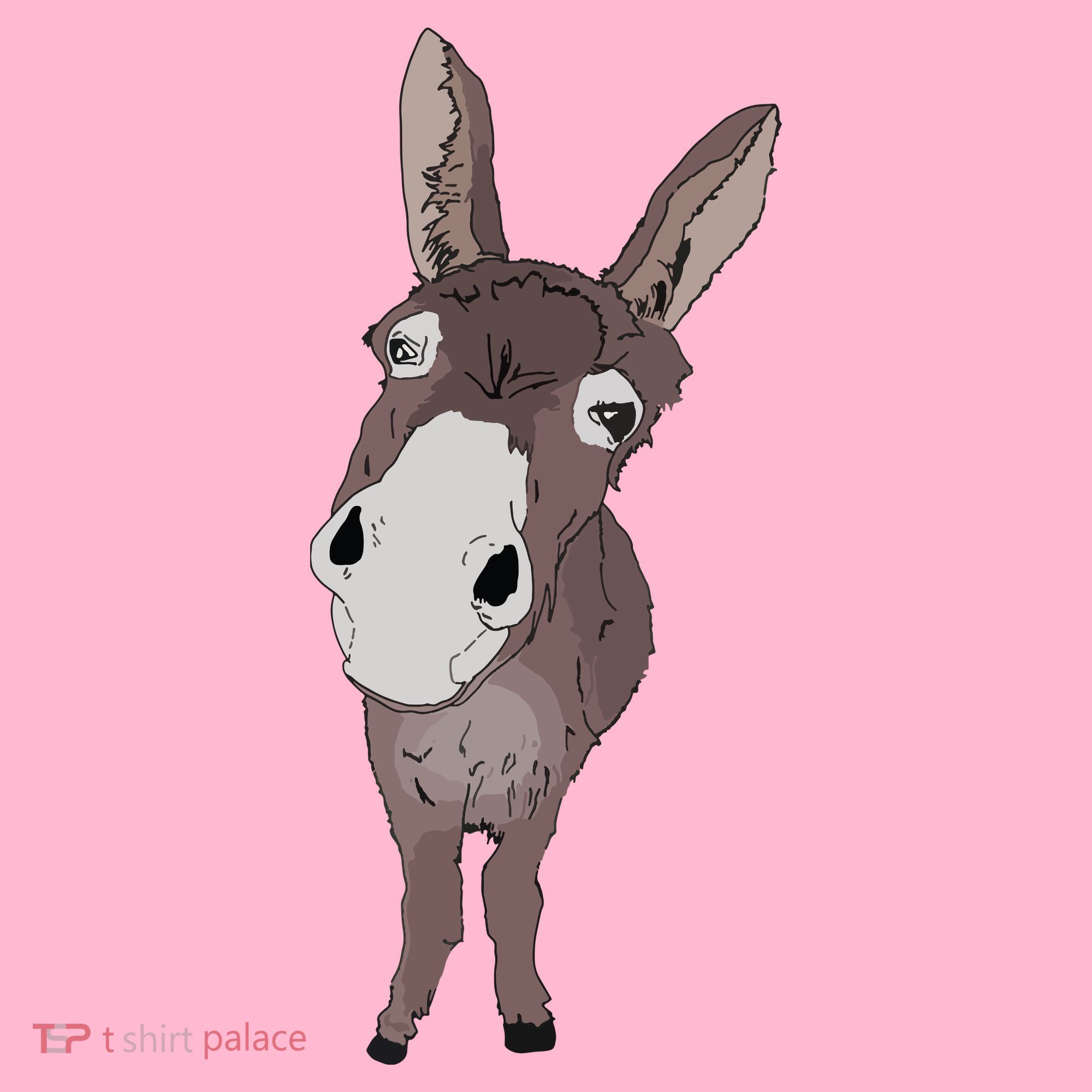 Funny Looking Donkey Gift Idea For Cute Donkeys Horses Coaster