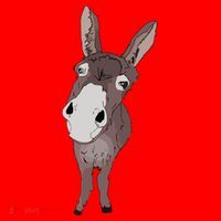 Funny Looking Donkey Gift Idea For Cute Donkeys Horses Santa Hat thumb 1