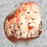 Forest Lion The Baniff Cuffed Pom Beanie thumb 2