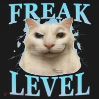 Freak Level Funny Cat Meme Certified Freak Humor Sarcastic Toddler Hoodie thumb 2