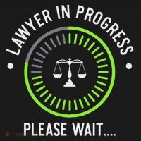 Funny Lawyer In Progress Gift T Law School Apparel Women's Hoodie thumb 2
