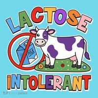 Funny Lactose Intorerant Cow Button thumb 1